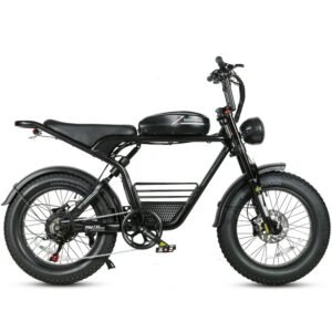 M20 1000 Samebike - Image 10