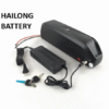 hailong Batterie HAILONG 36V-48V Ebike con caricatore
