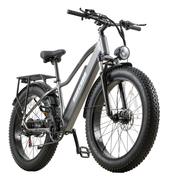 Burchda RX20