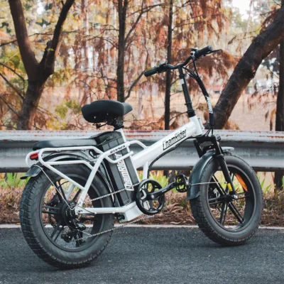 ChamRider DTS425 32Ah