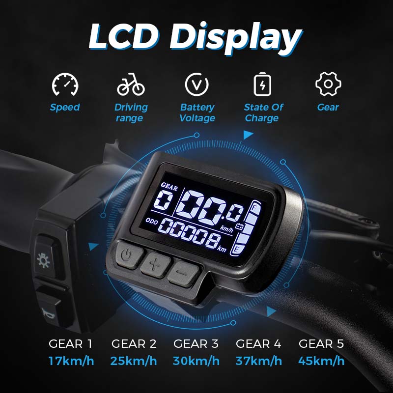 ChamRider DTS425 32Ah - immagine 6